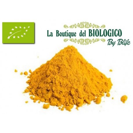 Curry in polvere bio 25 g (SFUSO)