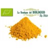 Curry in polvere bio 25 g (SFUSO)