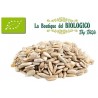 Semi di girasole bio 100 gr (SFUSO)
