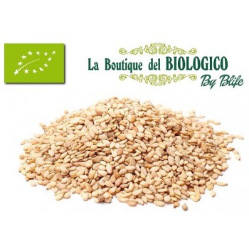 Semi di sesamo bio 100 gr (SFUSO)