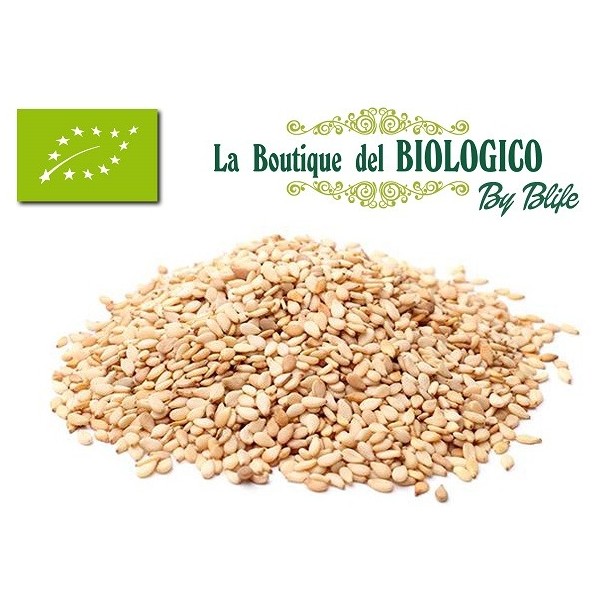 Semi di sesamo bio 100 gr (SFUSO)