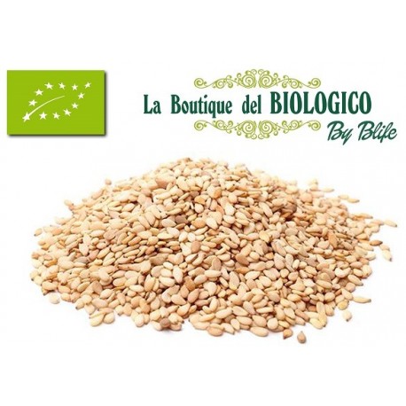 Semi di sesamo bio 100 gr (SFUSO)