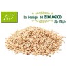 Semi di sesamo bio 100 gr (SFUSO)