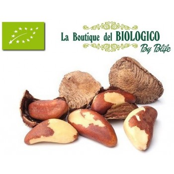 Noci brasiliane bio 100 g (SFUSE)