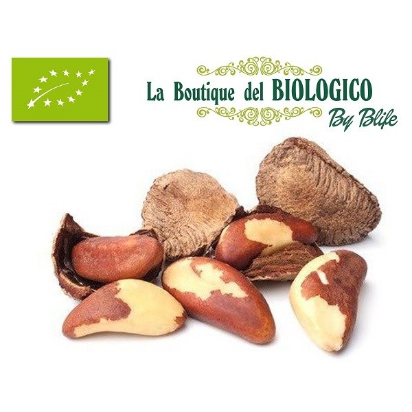 Noci brasiliane bio 100 g (SFUSE)