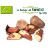 Noci brasiliane bio 100 g (SFUSE)