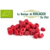 Lamponi secchi bio 50 g (SFUSI)