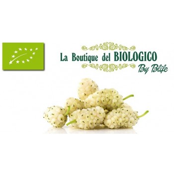 More di gelso secche bio 50 g (SFUSE)