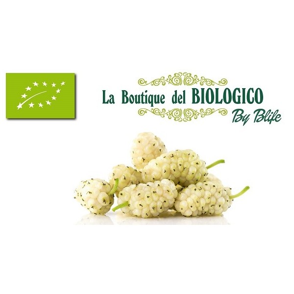 More di gelso secche bio 50 g (SFUSE)
