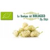 More di gelso secche bio 50 g (SFUSE)