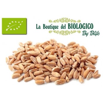Farro decorticato bio 100 gr (SFUSO)