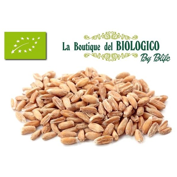 Farro decorticato bio 100 gr (SFUSO)