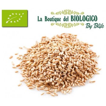 Orzo perlato bio 100 gr (SFUSO)