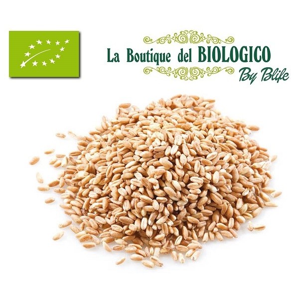 Orzo perlato bio 100 gr (SFUSO)