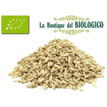 Avena decorticata bio 100 gr (SFUSO)
