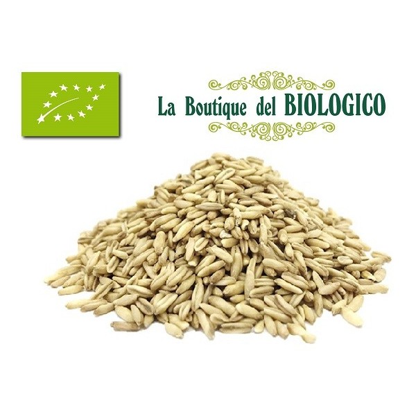 Avena decorticata bio 100 gr (SFUSO)