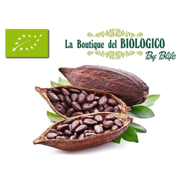 Fave di cacao biologiche 50 g (SFUSE)