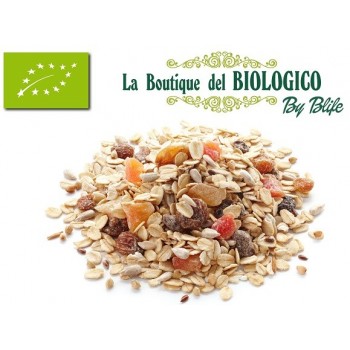 Muesli alla frutta bio 100 gr (SFUSO)