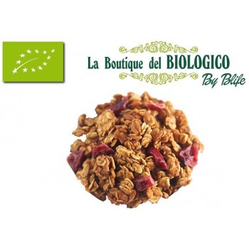 Crunchy alla frutta bio 100 gr (SFUSO)