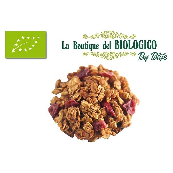 Crunchy alla frutta bio 100 gr (SFUSO)