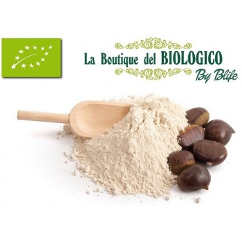 Farina di castagne bio 100 g (SFUSA)