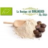 Farina di castagne bio 100 g (SFUSA)