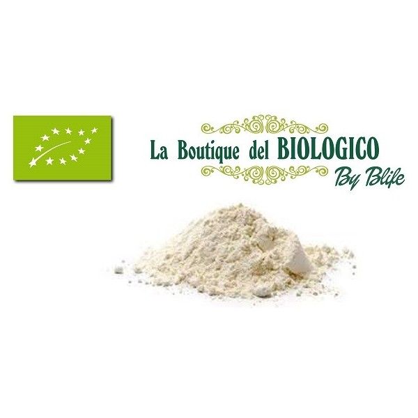 Farina di farro bianca bio 100 g (SFUSA)