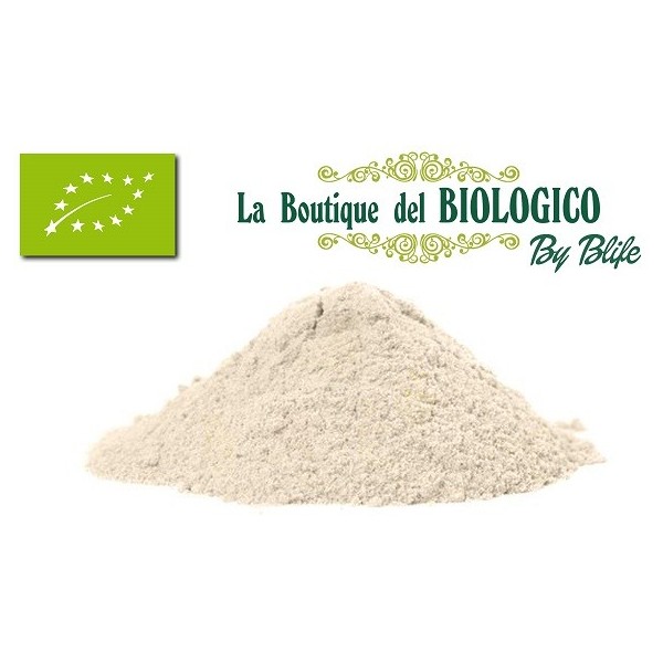 Farina di grano saraceno bio 100 g (SFUSA)