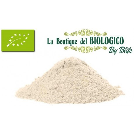 Farina di grano saraceno bio 100 g (SFUSA)