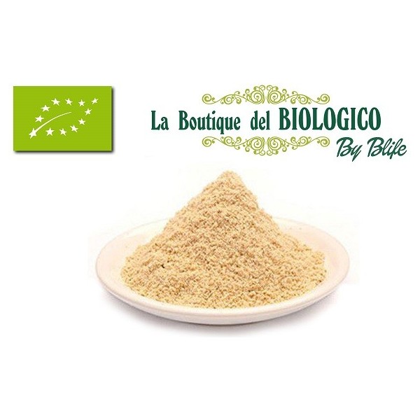 Farina di amaranto bio 100 g (SFUSA)