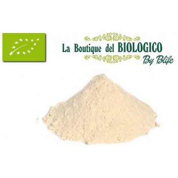Farina di quinoa bio 100 g (SFUSA)