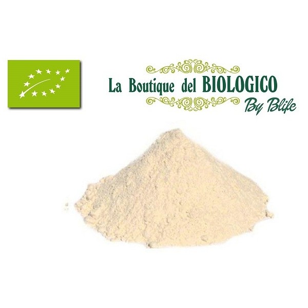 Farina di quinoa bio 100 g (SFUSA)