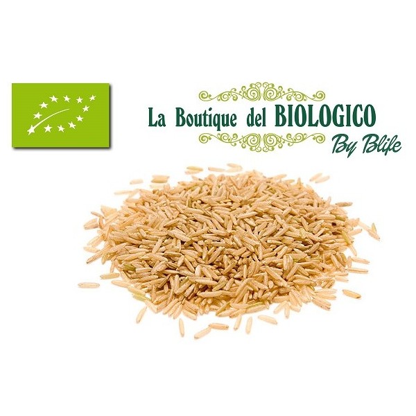 Riso basmati integrale bio 100 gr (SFUSO)