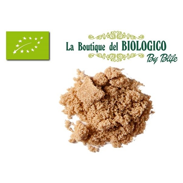 Zucchero di canna integrale bio (Rapadura) 100 gr (SFUSO)