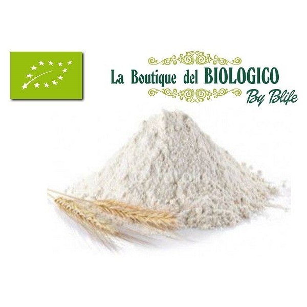 Farina tipo manitoba bio 100 g (SFUSA)