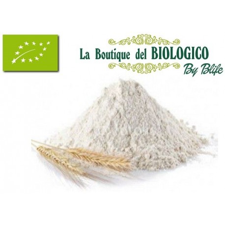 Farina tipo manitoba bio 100 g (SFUSA)