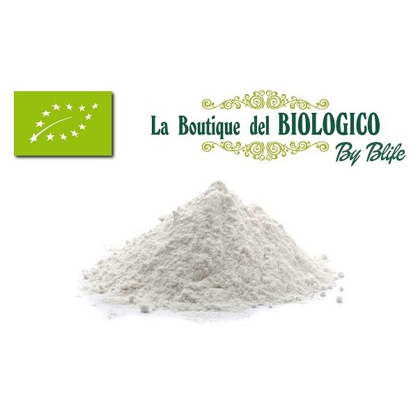 Fecola di patate bio 100 gr (SFUSA)