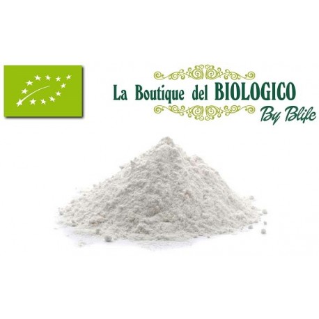 Fecola di patate bio 100 gr (SFUSA)