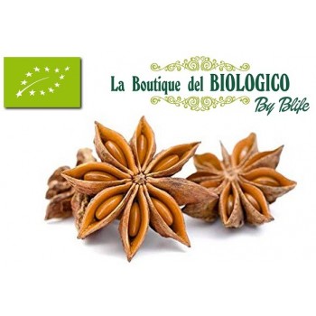 Anice stellato bio 50 g (SFUSO)