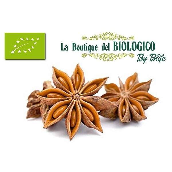 Anice stellato bio 50 g (SFUSO)