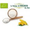 Amido di mais bio 50 gr (SFUSO)