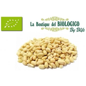 Arachidi crude non salate bio 100 gr (SFUSO)