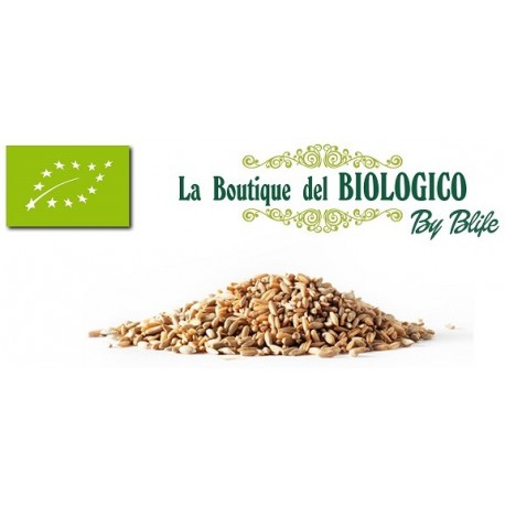Farro piccolo monococco bio 100 gr (SFUSO)