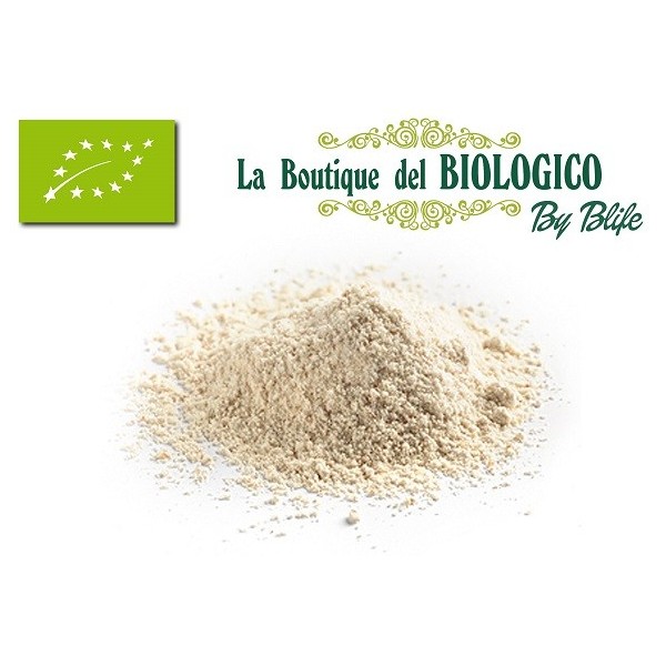 Farina di farro monococco bio 100 g (SFUSA)