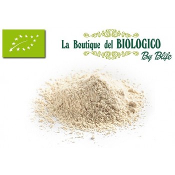 Farina mix di grani teneri bio 100 g (SFUSO)