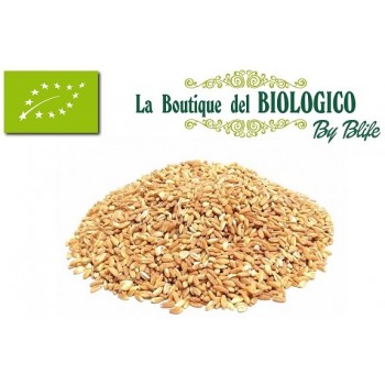 Farro perlato bio 100 gr (SFUSO)