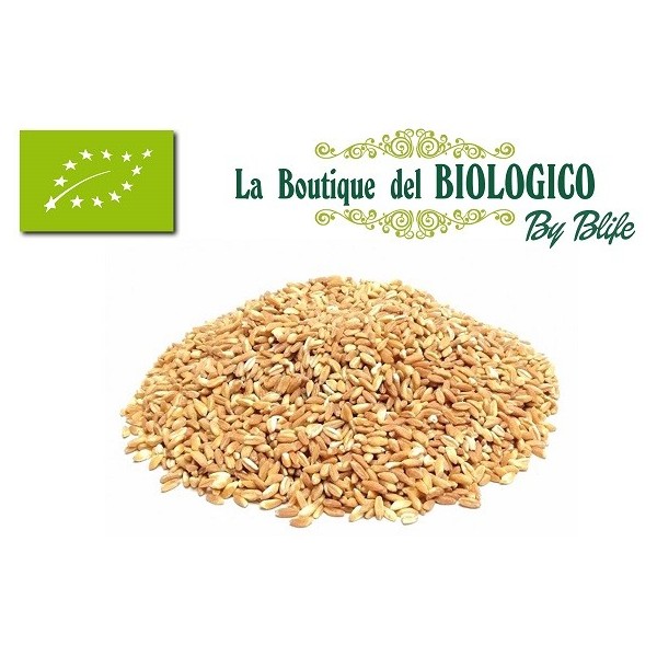 Farro perlato bio 100 gr (SFUSO)