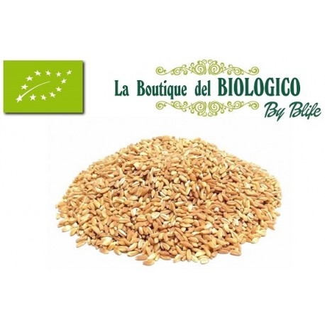 Farro perlato bio 100 gr (SFUSO)