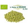 Fagioli azuki verdi mung 100 gr (SFUSO)