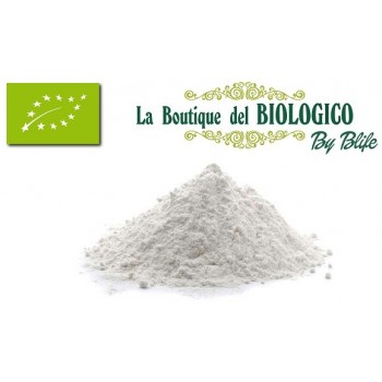 Farina di grano tenero 00 bio 100 g (SFUSA)